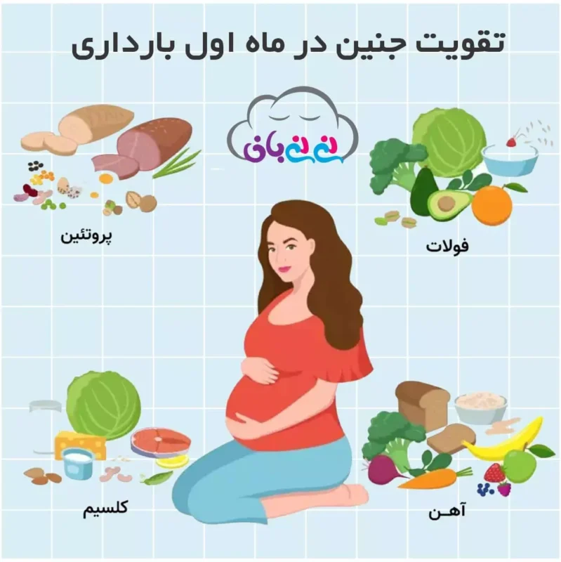 مراقبت های بارداری در دوره های 3 ماهه بارداری