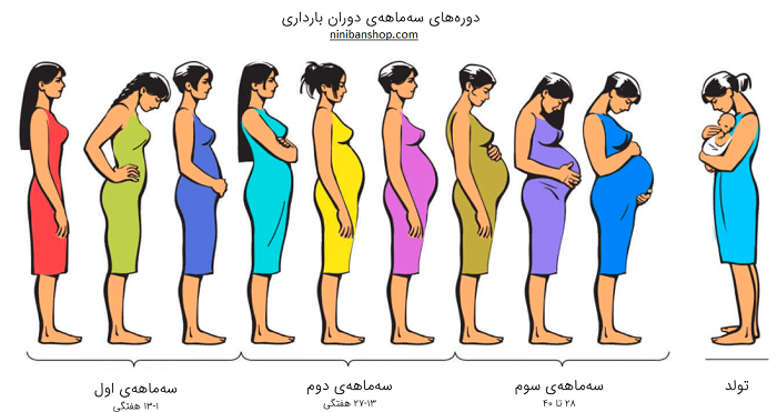 مراقبت های بارداری در دوره های سه ماهه بارداری