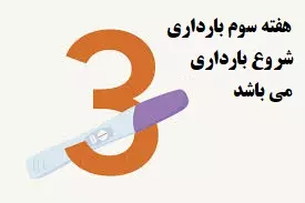 آنچه باید درباره هفته سوم بارداری بدانید.