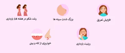 تغییرات بدن مادر و جنین در هفته چهاردهم بارداری