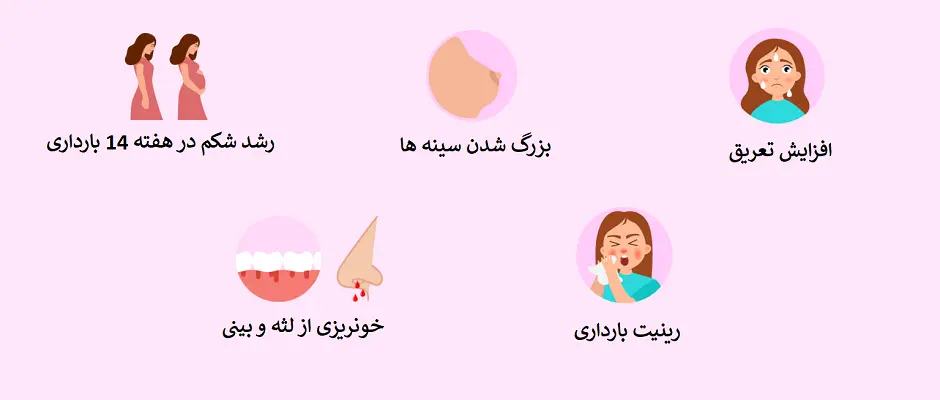 تغییرات بدن مادر و جنین در هفته چهاردهم بارداری