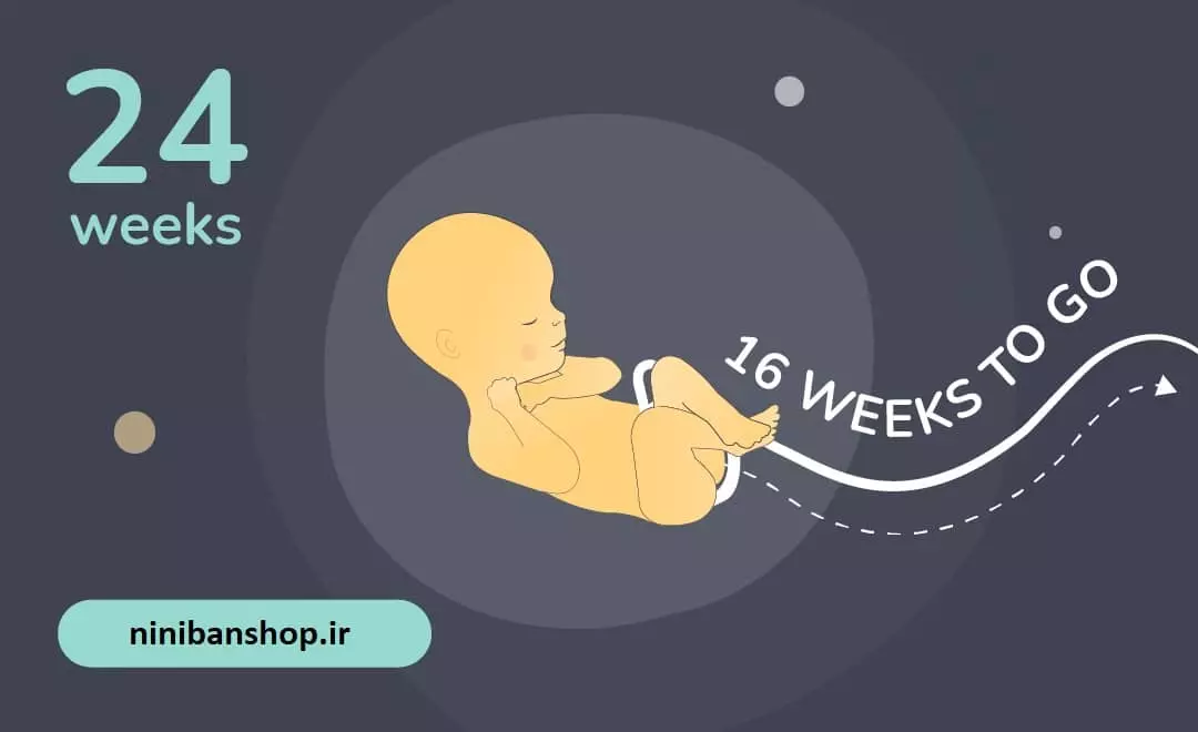 ۹ مورد از علایم شایع هفته بیست و چهارم بارداری