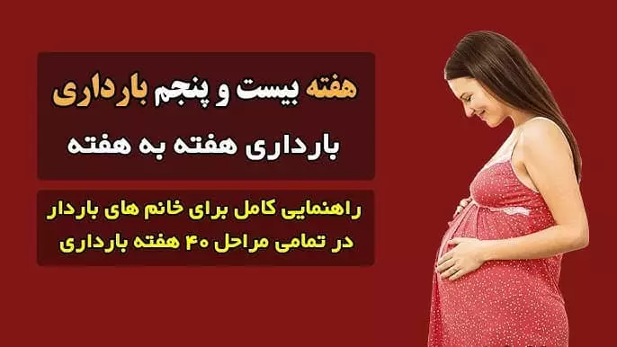 هفته 25 بارداری